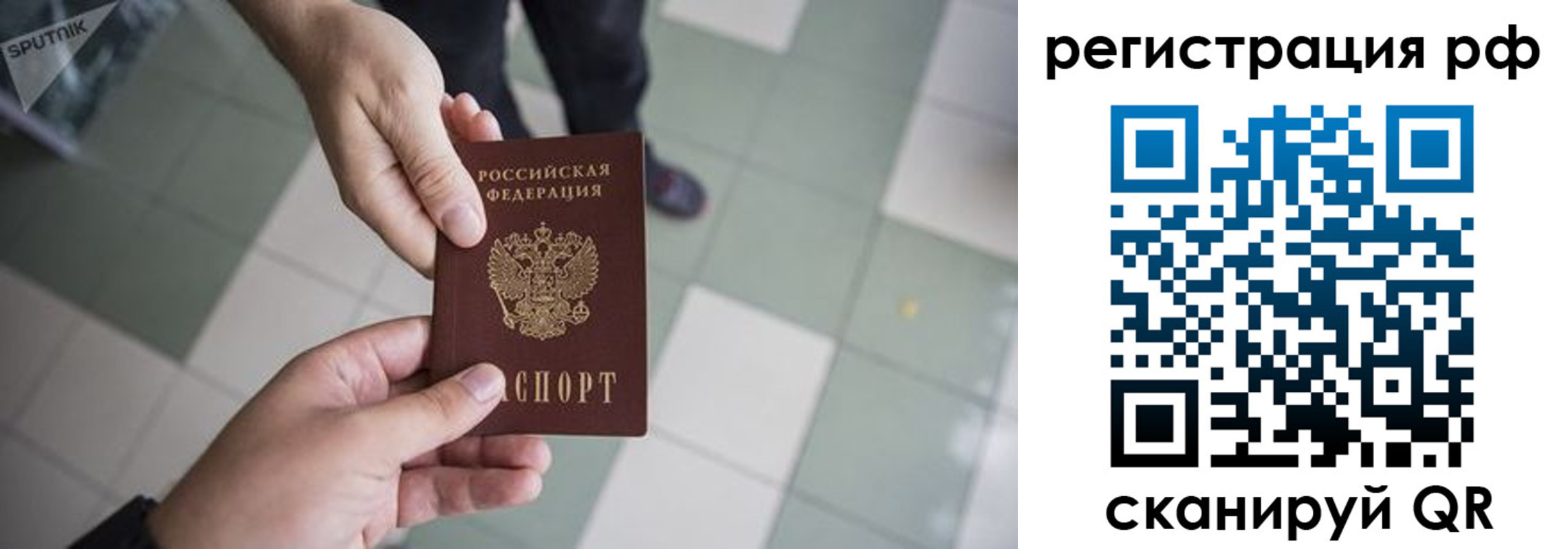 прописка гарантия в Зверево